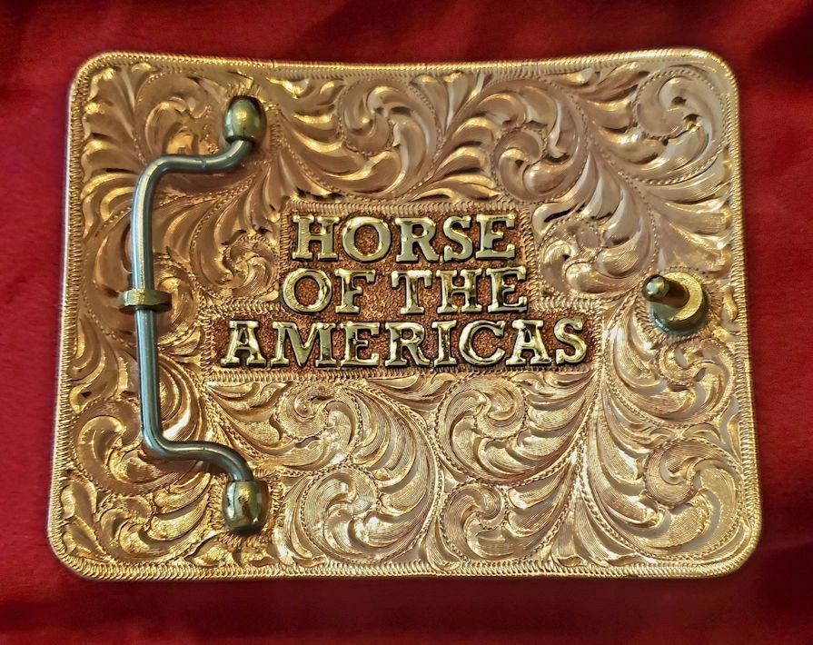 HOA high point trophy buckle, back