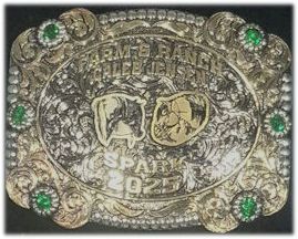 HOA high point trophy buckle, front