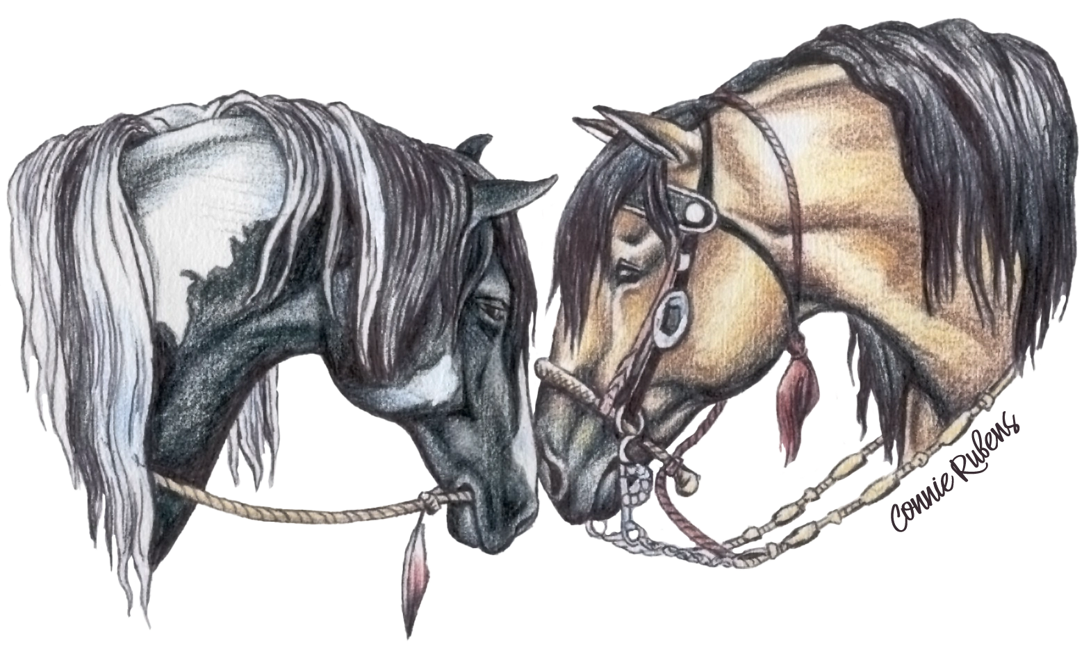 Two Colonial Spanish horses, the Horse of the Americas emblem