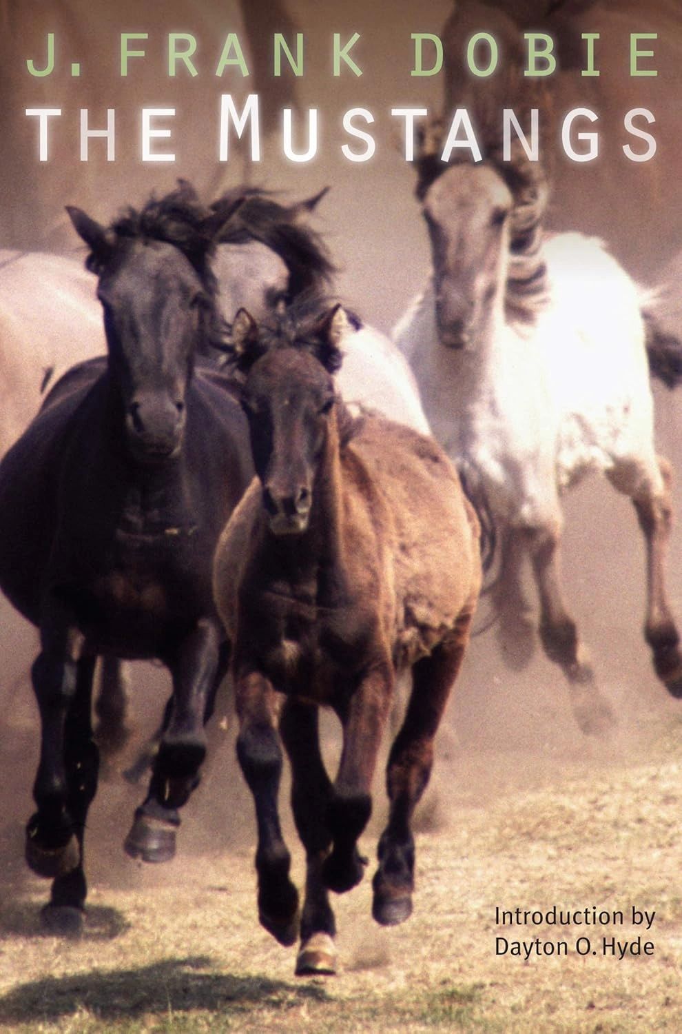 Book cover featuring wild mustangs running, titled 'The Mustangs' by J. Frank Dobie.